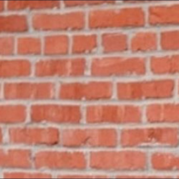 Meet your Posher, Payton - Picture 1 of 1